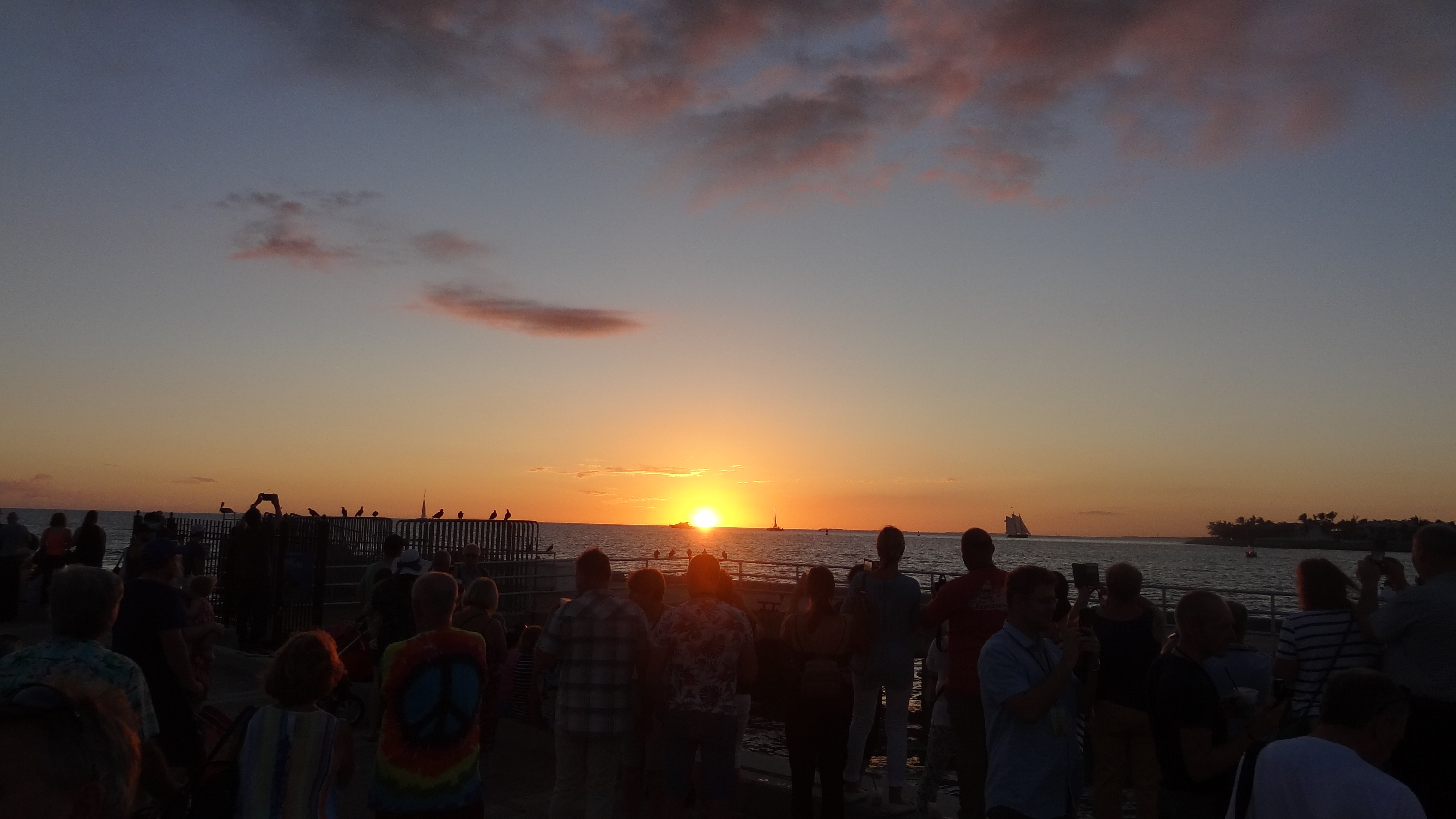 DSC08301.JPG