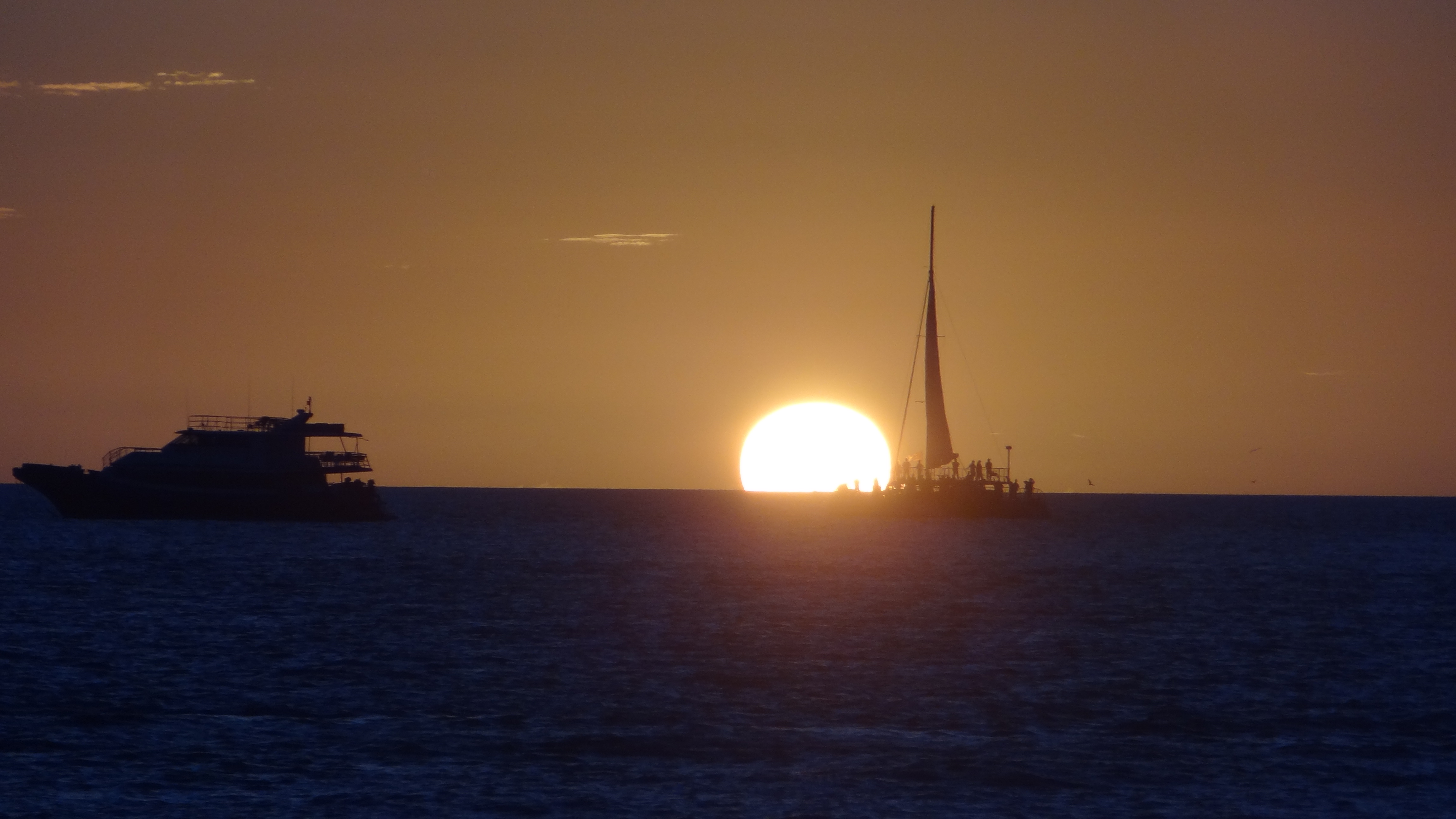 DSC08305.JPG