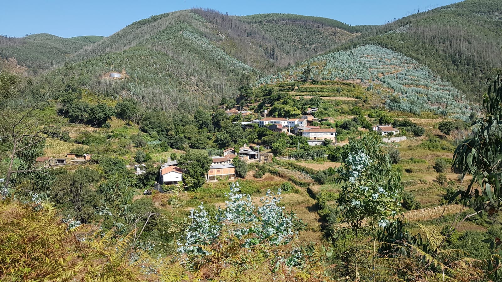 IMG-20180927-WA0004.jpg