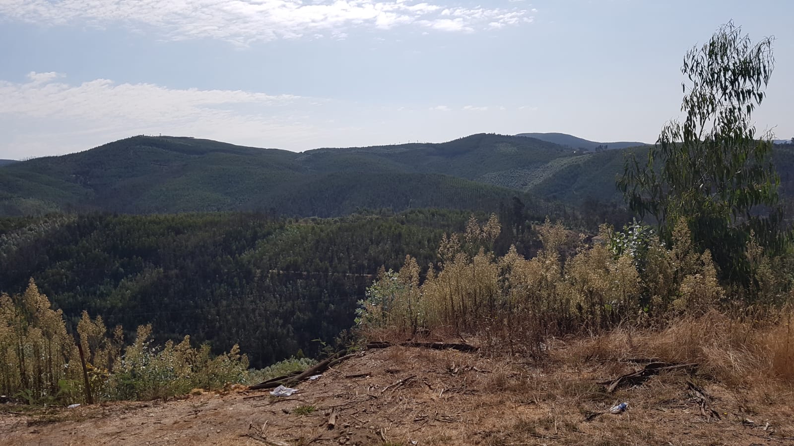 IMG-20180927-WA0006.jpg