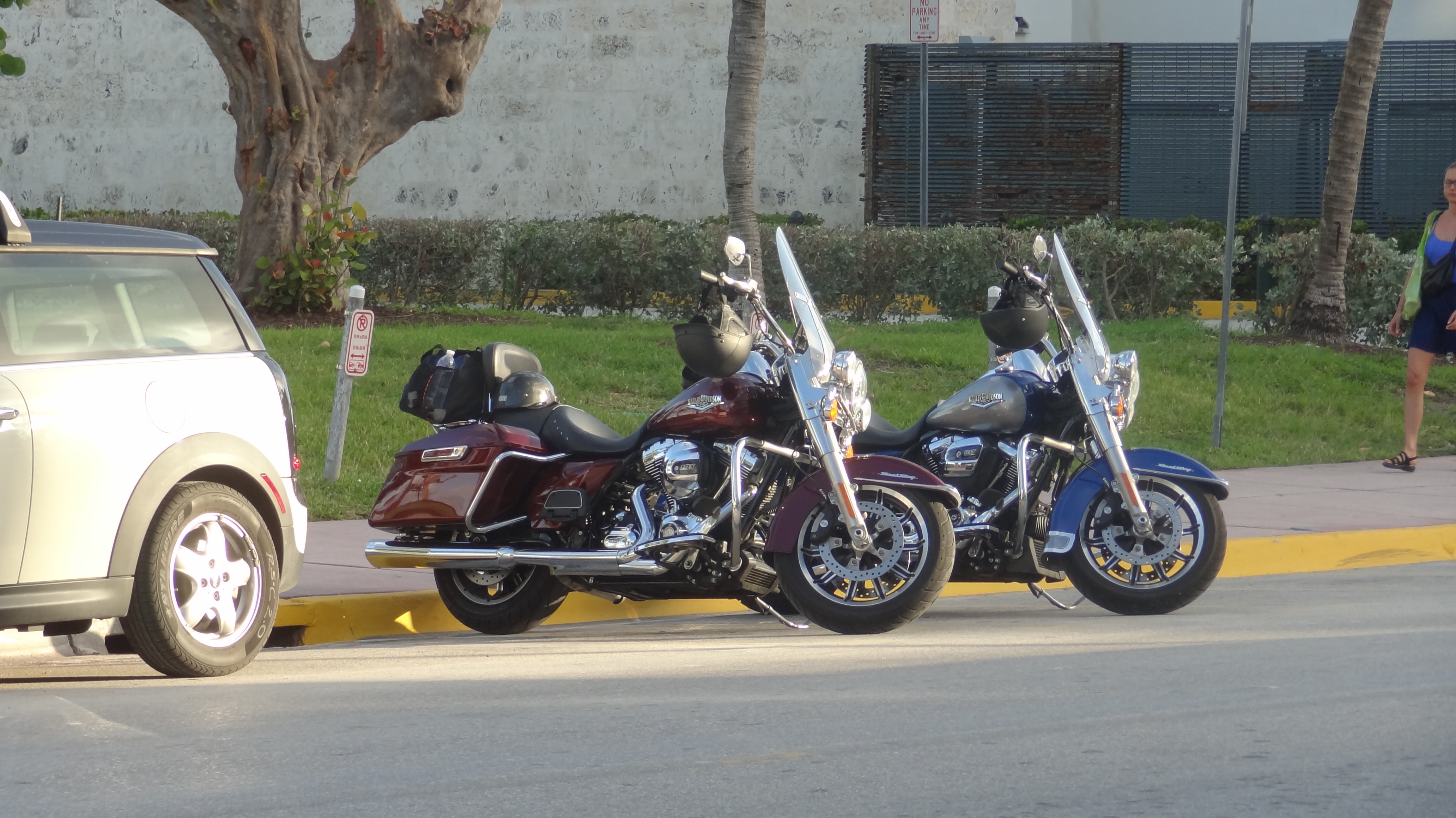 DSC08456.JPG